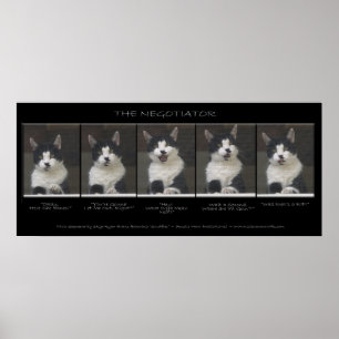 "THE NEGOTIATOR" Funny Cat Foto Sequence Poster
