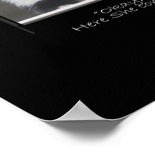 "THE NEGOTIATOR" Funny Pet Chat Print Poster (Ecke)