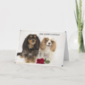 The New Weds Cavalier King Charles Spaniel Karte (Vorderseite)
