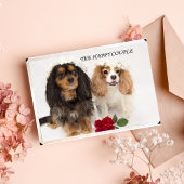 The New Weds Cavalier King Charles Spaniel Karte
