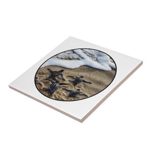 The newborn instinct fliese (Seite)