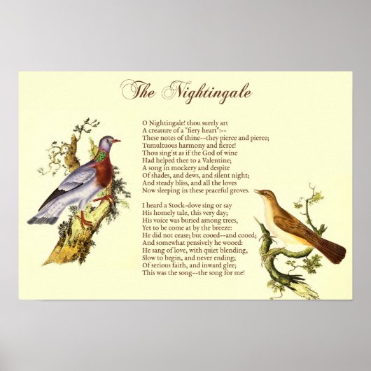 "The Nightingale" von Wordsworth - Art Print Poster (Vorne)