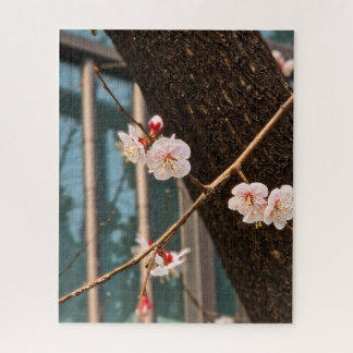 The Noble Call of Korean Spring Puzzle