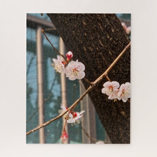 The Noble Call of Korean Spring Puzzle (Vertikal)