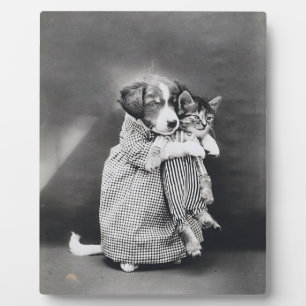 The Nurse Puppy Kitten Harry Whittier Frees 1914 Fotoplatte