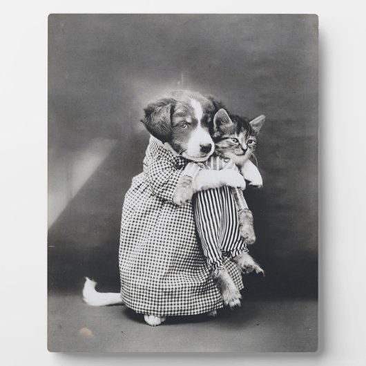 The Nurse Puppy Kitten Harry Whittier Frees 1914 Fotoplatte (Vorderseite)