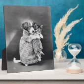 The Nurse Puppy Kitten Harry Whittier Frees 1914 Fotoplatte (Seite)