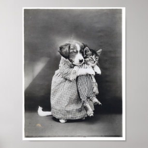 The Nurse Puppy Kitten Harry Whittier Frees 1914 Poster