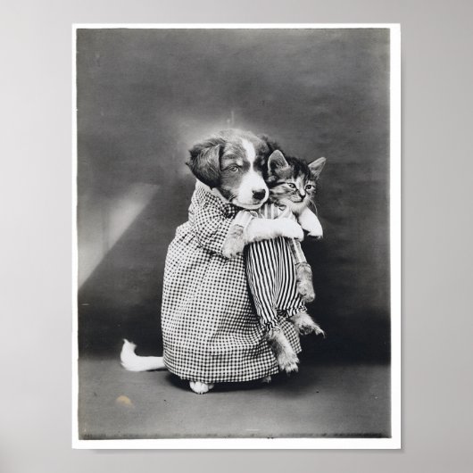 The Nurse Puppy Kitten Harry Whittier Frees 1914 Poster (Vorne)