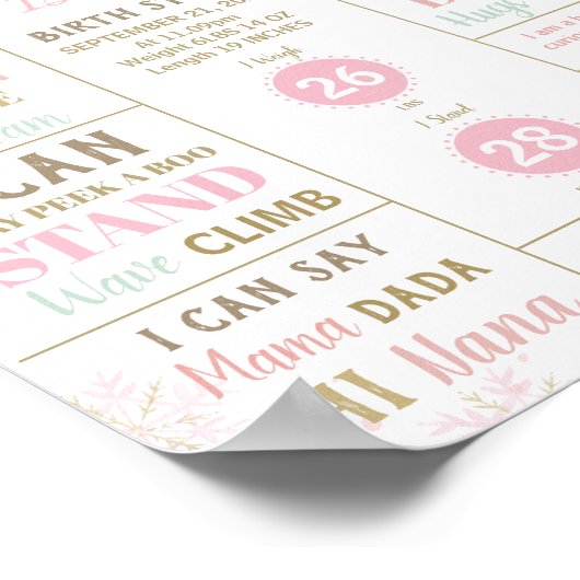 The Nutcracker 1st Birthday Milestone Birth Stats Poster (Ecke)