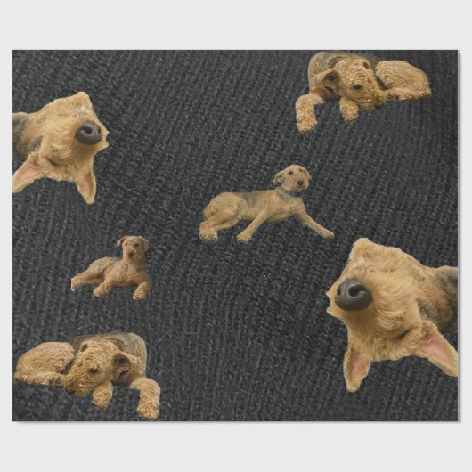 The Obstinate Airedale Wrapping Paper Geschenkpapier (Flach)
