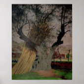 The Old Olive Tree, 1922 Poster (Vorne)