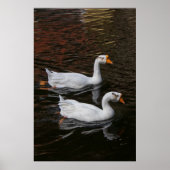 The Pair Poster (Vorne)