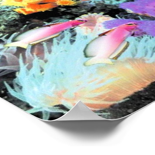 The Paradise of Centropyge Poster (Ecke)