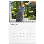 The Parrotlets 2020 Annual Fotografy Calendar Kalender (Feb 2026)
