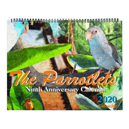 The Parrotlets 2020 Annual Fotografy Calendar Kalender (Titelbild)