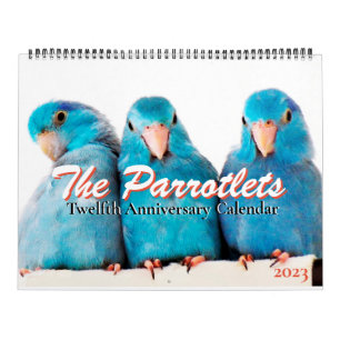 The Parrotlets 2023 12-jähriger Kalender