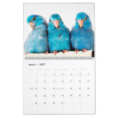 The Parrotlets 2023 12-jähriger Kalender (Mär 2027)