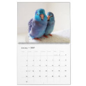 The Parrotlets 2023 12-jähriger Kalender (Jan 2027)