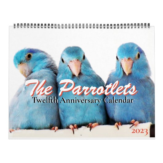 The Parrotlets 2023 12-jähriger Kalender (Titelbild)
