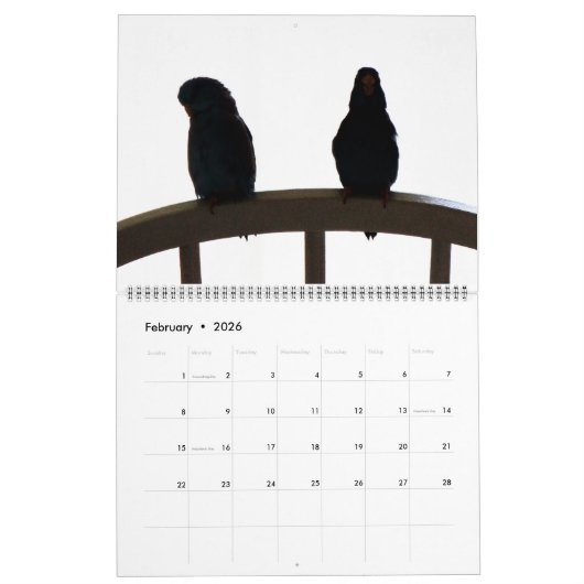 The Parrotlets 2023 12-jähriger Kalender (Feb 2026)