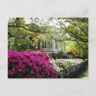 The Parsonage - Spring in Natchez, Mississippi Postkarte