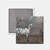 The Piebald Horse, 1653 Magnet (Vorderseite/Rückseite)