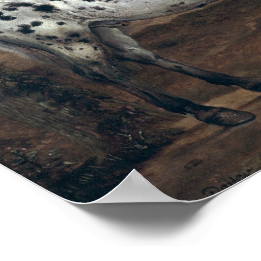 The Piebald Horse, 1653 Poster (Ecke)