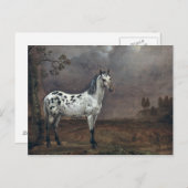 The Piebald Horse, 1653 Postkarte (Vorne/Hinten)