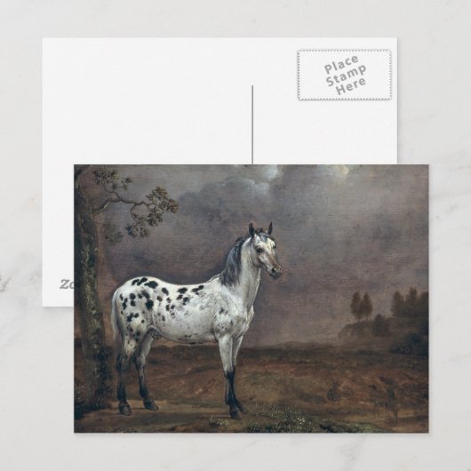 The Piebald Horse, 1653 Postkarte (Vorne/Hinten)