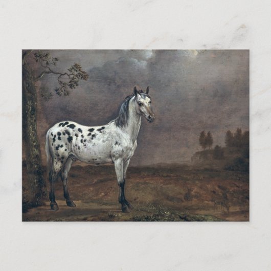 The Piebald Horse, 1653 Postkarte (Vorderseite)