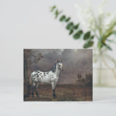 The Piebald Horse, 1653 Postkarte (Stehend Vorderseite)