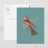 The Pine Bulfinch (Corythus enucleator) Postkarte (Vorne/Hinten)