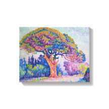 The Pine Tree at St. Tropez, 1909