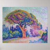 The Pine Tree at St. Tropez, 1909 Poster (Vorne)