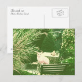 The Pink Cat Postkarte (Vorne/Hinten)