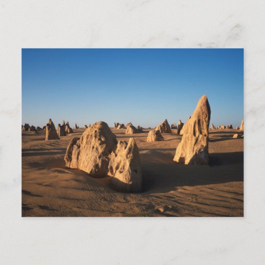 The Pinnacles desert Nambung National Park Postkarte (Vorderseite)