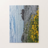 The Plassey Shipwreck on Inis Oirr, Ireland Puzzle (Vertikal)
