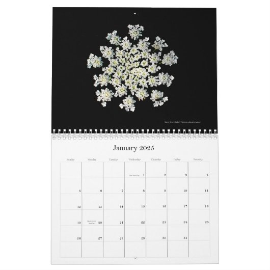 "The Poetry of Blume 2026 Calendar Kalender (Jan 2025)