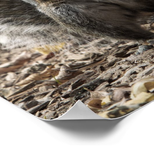 The Pose Poster (Ecke)