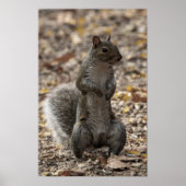 The Pose Poster (Vorne)