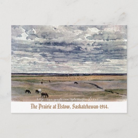 "The Prairie at Elstow, Saskatchewan-1914" Postkarte (Vorderseite)
