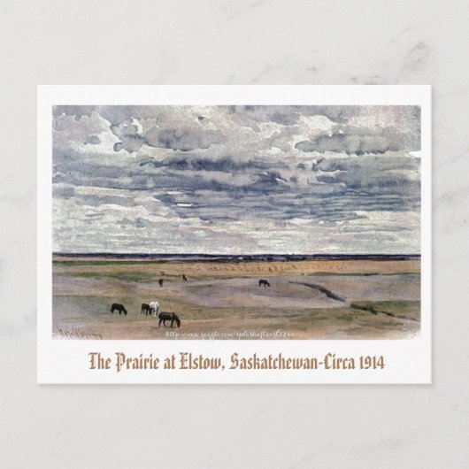 "The Prairie at Elstow, Saskatchewan-1914" Postkarte (Vorderseite)