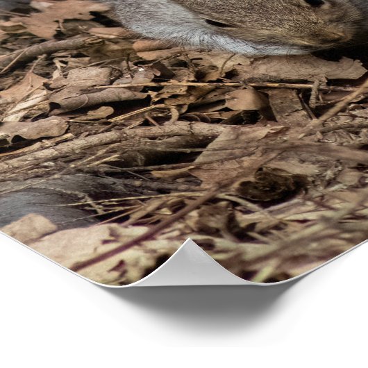 The Prowl Poster (Ecke)