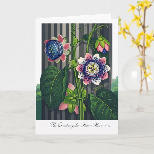 The Quadrangular Passion Flower Modern Botanical Karte (Gelbe Blume)