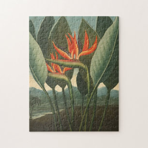"The Queen (Bird of Paradise)" Puzzle