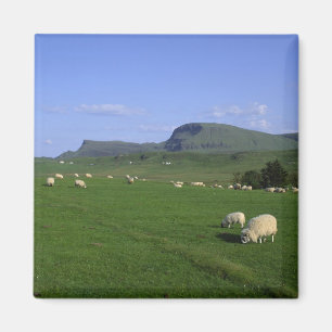 The Quiraing Mountains, Isle of Skye, Highlands, Magnet