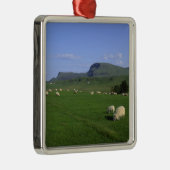 The Quiraing Mountains, Isle of Skye, Highlands, Silbernes Ornament (Rechts)