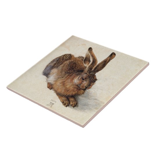 THE RABBIT ( Young Hare ) von Albrecht Durer Fliese (Seite)