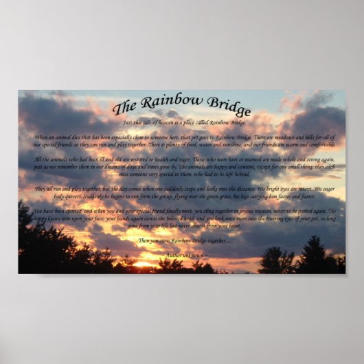 The Rainbow Bridge Poster (Vorne)